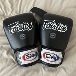 Fairtex Gloves