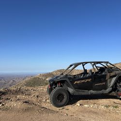 2025 Pro R Roll Cage