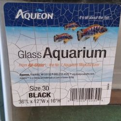 Aquarium Tank