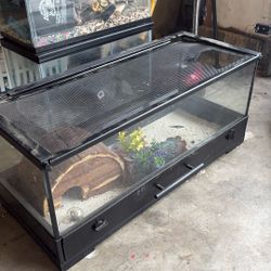 1fish Tank 4 Lizard Tanks Need Them Gone ASAP 
