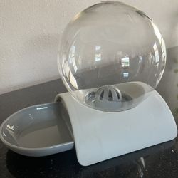 Pet Water Dispenser New