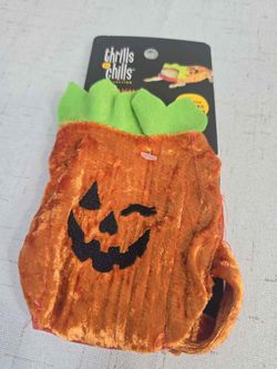 Thrills & Chills Pumpkin Costume for Reptiles