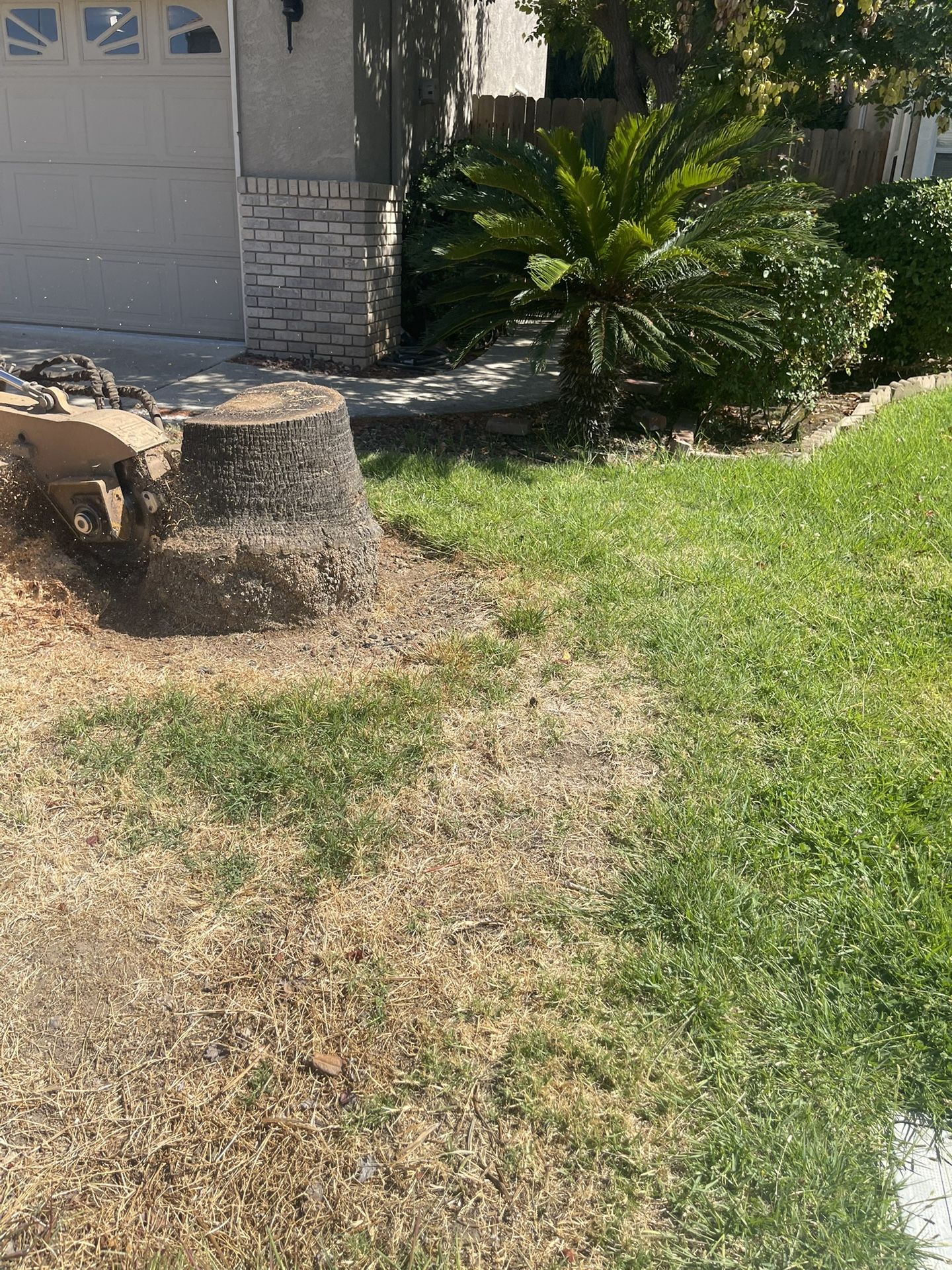 Stump Grinding