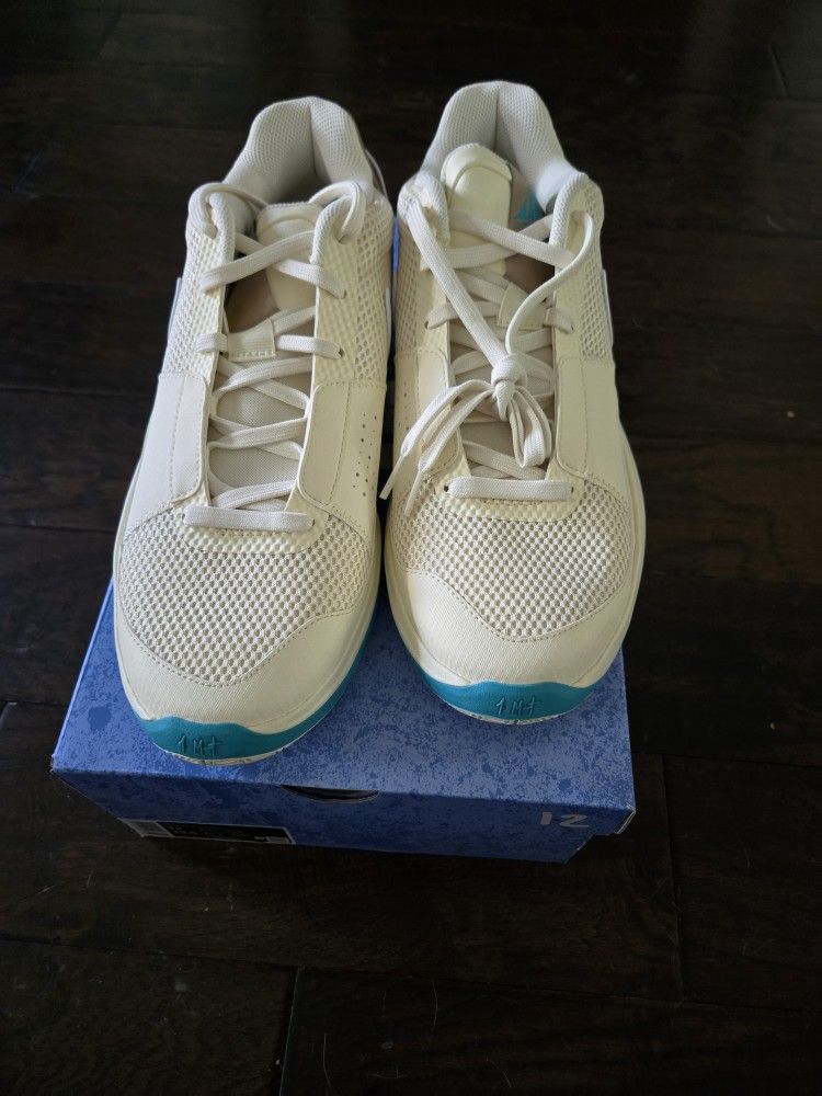 Nike JA 1 New In Box. Size 12