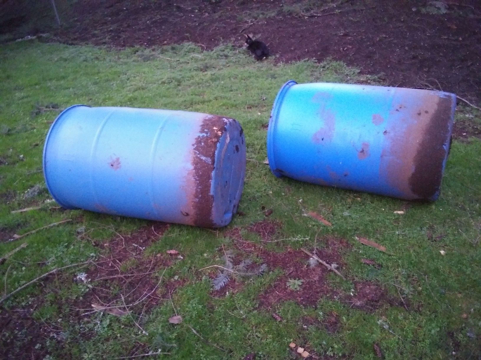 Rain barrels