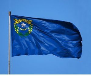 Nevada State Flag 3x5 Feet