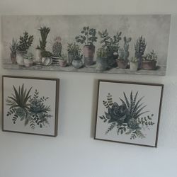 Succulents Frame 