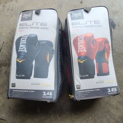 Punching bag and gloves