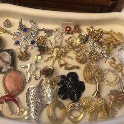 Lots Of Brooch’s And Pins 