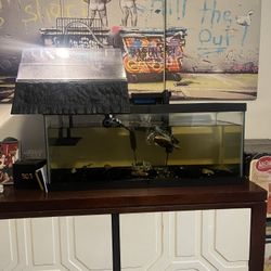 20 Gallon Tank Plus Basketing Area And Heat Lamp 