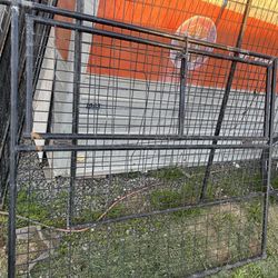 Dog Cage
