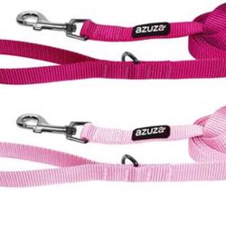New! 2 Pack Nylon Dog Leashes,Strong & Durable Basic Style Leash with Collar Hook Size Medium or large
