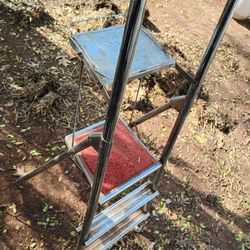 Old Sears Step Ladder 