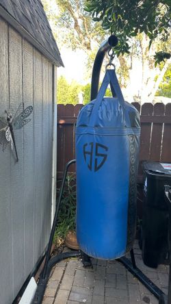 Professional boxing bag