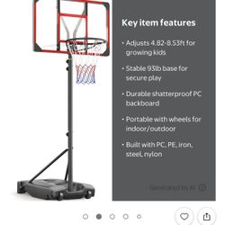 Portable Basketball 