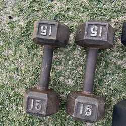 15 Lbs Dumbbells 