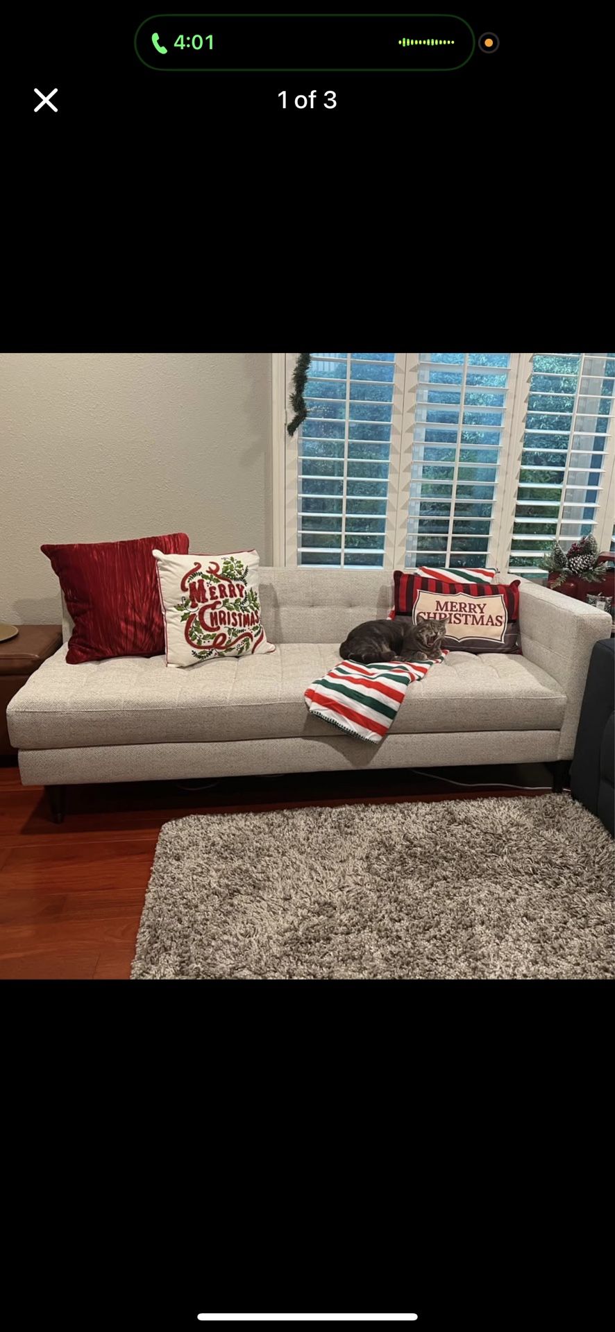 Living Spaces Couch