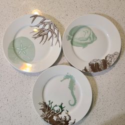 Set Of 3 Small Plates With Beautiful Sea Life Designs