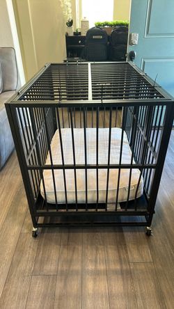 Free Dog kennel