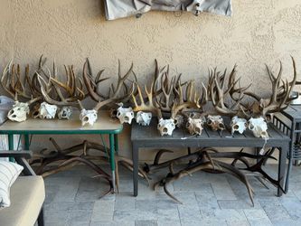 Antlers