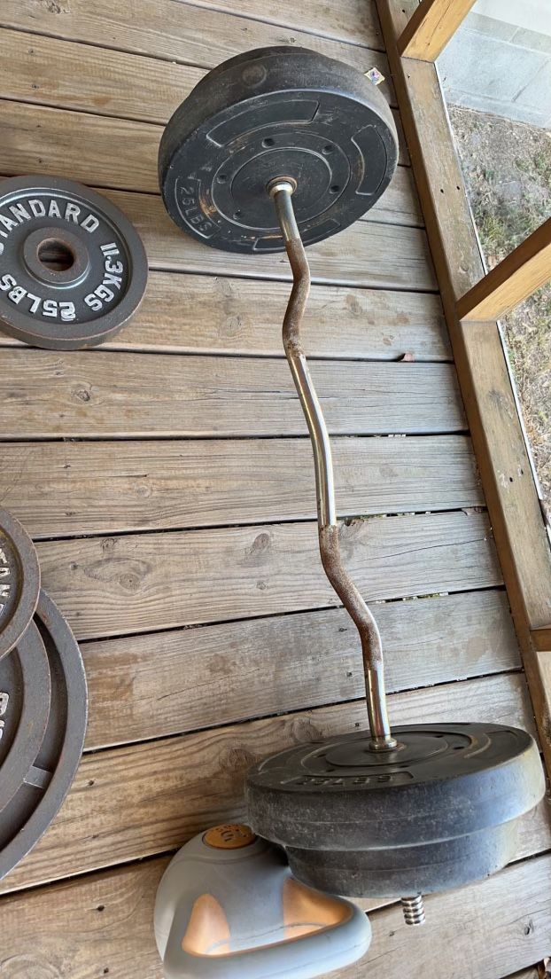 Weight Bench And Bar for Sale in Mulberry, FL OfferUp
