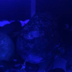 Yooperlite  Crystal Skull