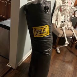 Everlast Punching Bag