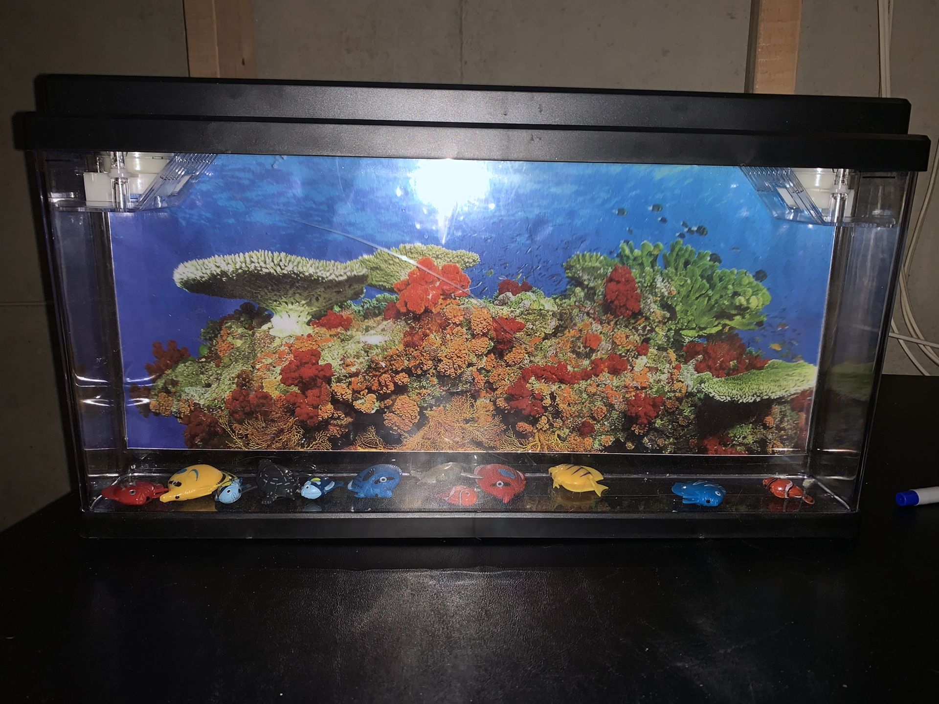 Fish aquarium