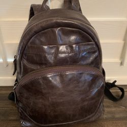 Frye Leather Backpack Purse