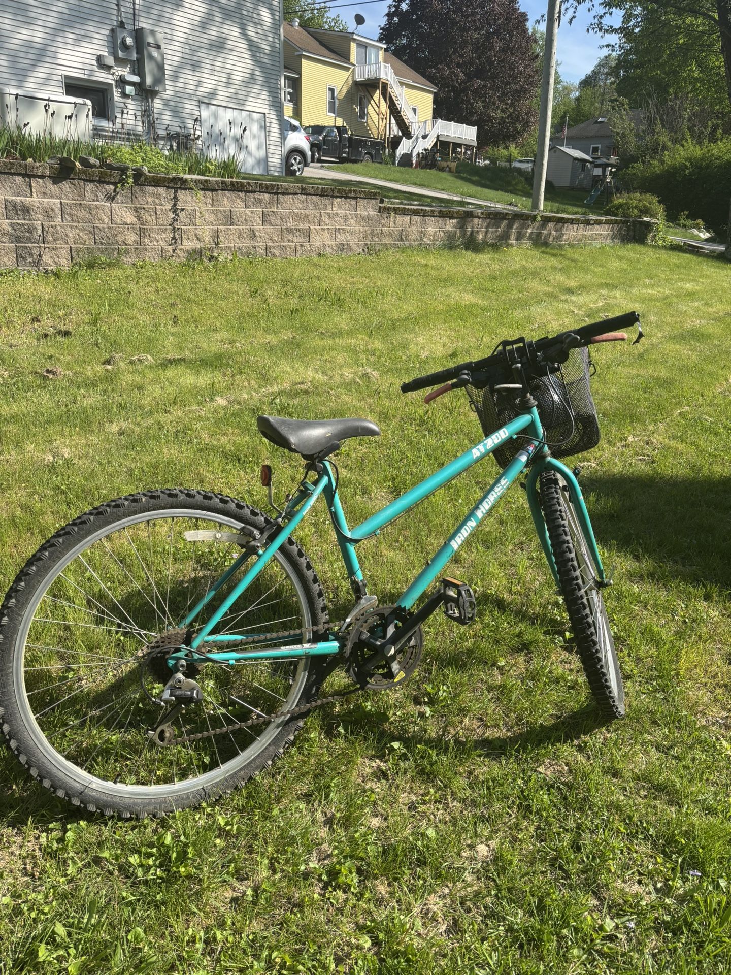 Mountain bike