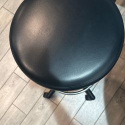Swivel Stool Salon Chair