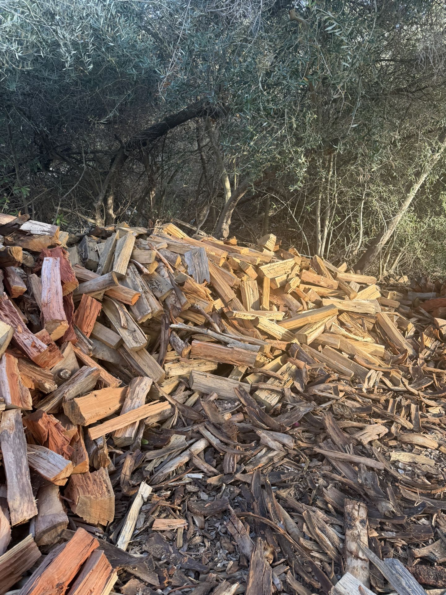 Firewood