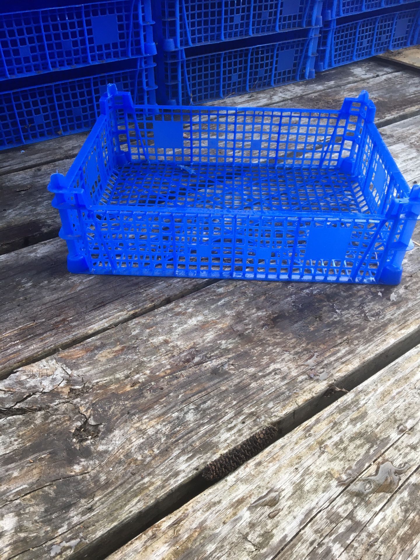 Plastic Pallets and Crates