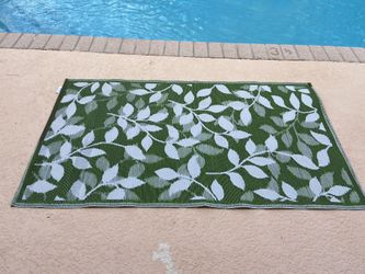 62x35 Outdoor Rug 