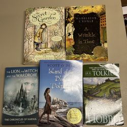 Fantasy themed chapter books bundle 