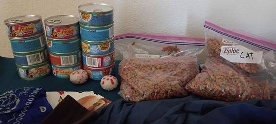 Cat food