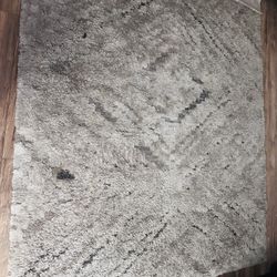 Living Room Rug