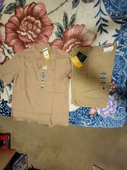 Carhartt force relaced fit Shirt size L and Cargo Short gorce extremes size 34/10 $60
