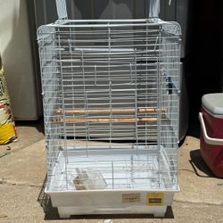 Bird Cage