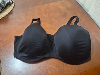 Torrid Braws