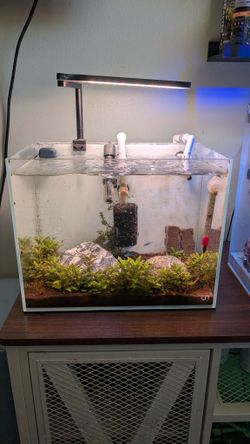 Rimless aquarium