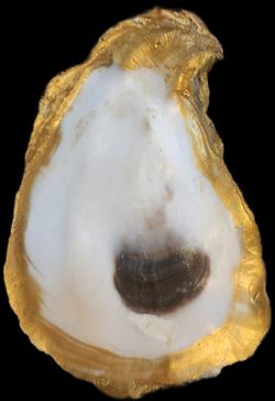 Oyster Shell Trinket Dish