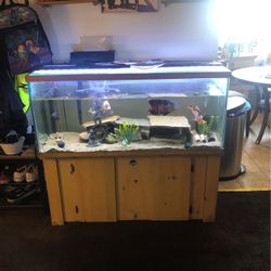 75 Gallon Fish Tank