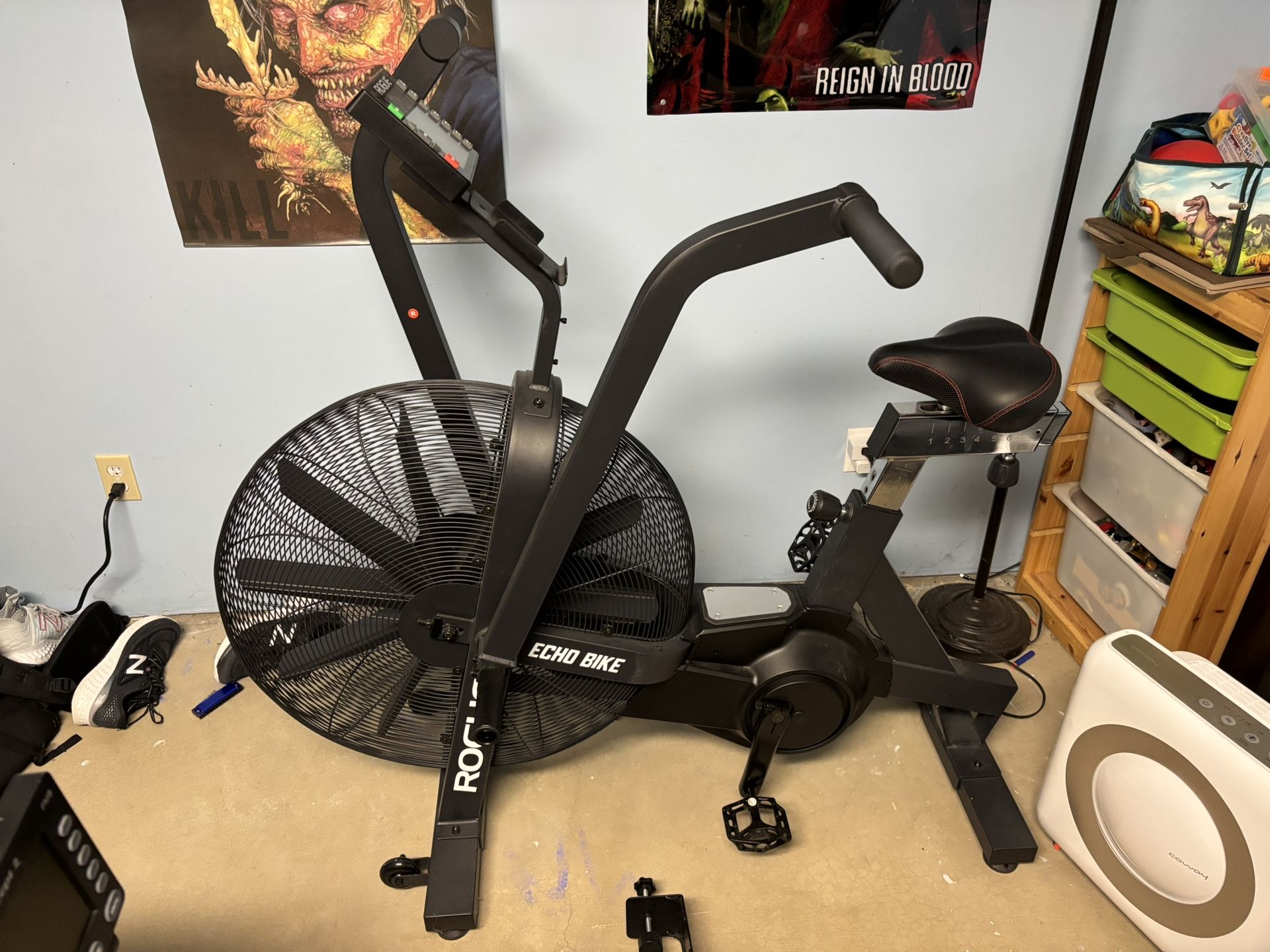 Rogue Echo Bike