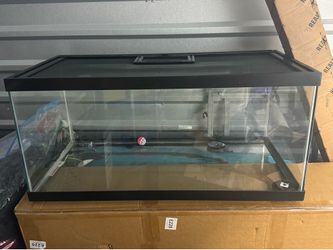 40 gal Reptile tank