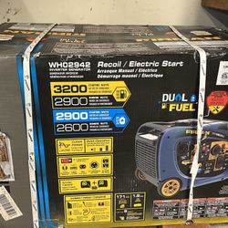 Firman Dual Fuel Generator NIB