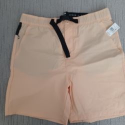 NWT. Edgar Ash Shorts. Sz 34