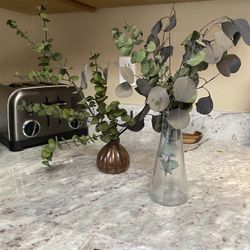 Eucalyptus Decor With Vase