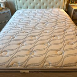 Queen Size (Mattress Only)