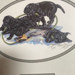 Lab Puppies “wet And Wild” By Darlene Wilson. 